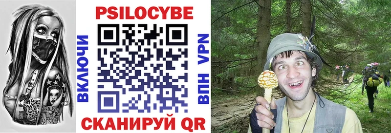 Псилоцибиновые грибы Psilocybine cubensis Южно-Сухокумск